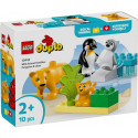 Duplo 10442 metsloomade pered: pingviinid ja lõvid