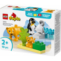 Duplo 10442 metsloomade pered: pingviinid ja lõvid