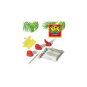 SES Creative Casting and painting - Dinosaurs