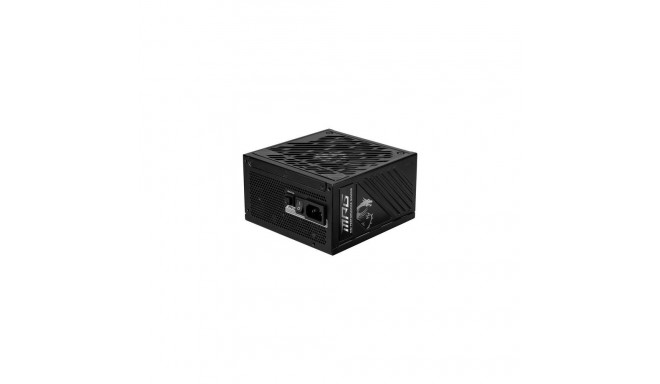 MSI MPG A1000GS PCIE5 power supply unit 1000 W 24-pin ATX ATX Black