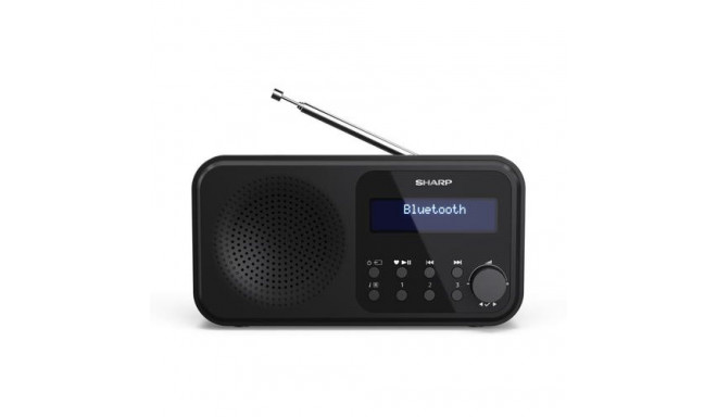 Sharp DR-P420 Portable Digital Black