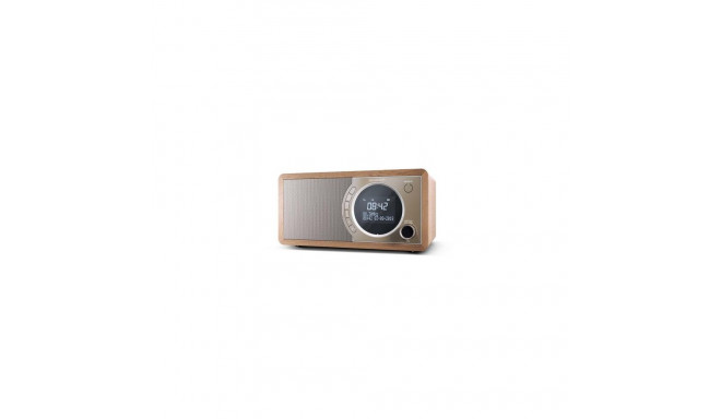 Sharp DR-450 Personal Digital Brown, Stainless steel
