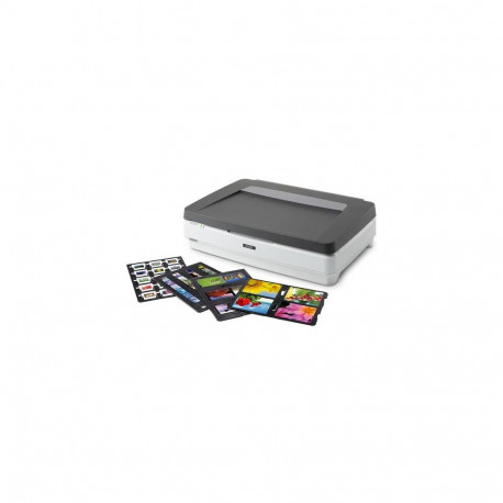 Epson Expression 13000XL Pro Flatbed scanner 2400 x 4800 DPI A3 Grey, White