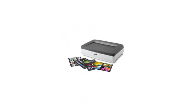 Epson Expression 13000XL Pro Flatbed scanner 2400 x 4800 DPI A3 Grey, White