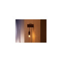Philips Hue 1-pack A60 E27 Filament Standard