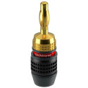 ClickTronic 52546 wire connector Banana plug Black, Gold