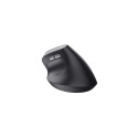Trust TM-270 mouse Office Right-hand RF Wireless Optical 2400 DPI