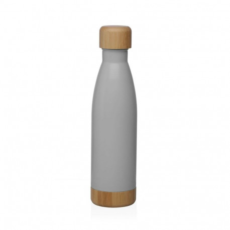 Water bottle Versa Grey Steel 500 ml 7 x 27 x 7 cm