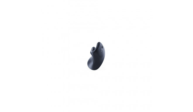 Computer mouse Gembird Ergonomic 6-button Wireless Optical Mouse Black