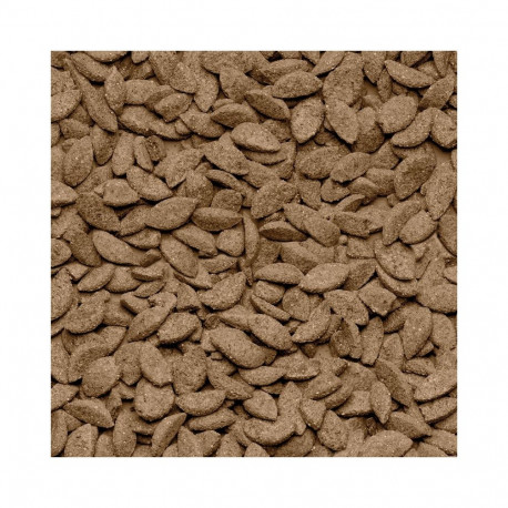Food for Chinchillas - Beaphar Care+ Chinchilla, 1.5 kg