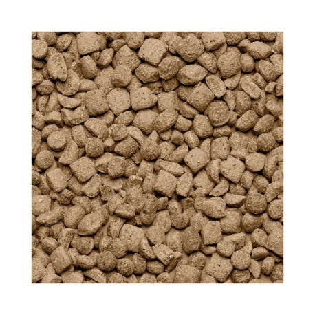 Beaphar Care+ rottide toit, 1.5 kg