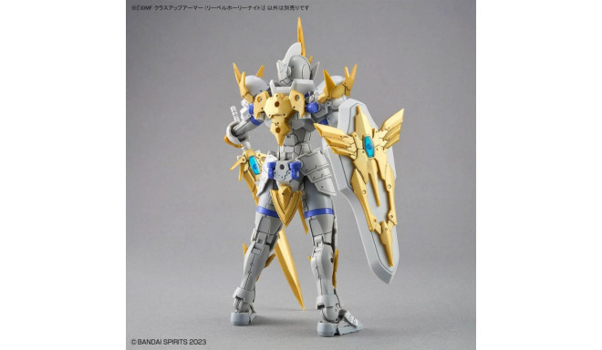 30MF LIBER HOLY KNIGHT