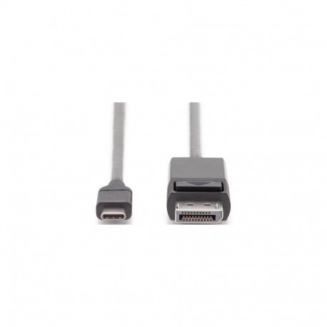 Digitus USB Type-C adapter cable USB-C to DP, 2 m