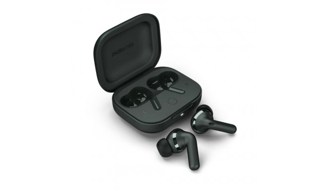 Earbuds Buds+ Darkest Spruce