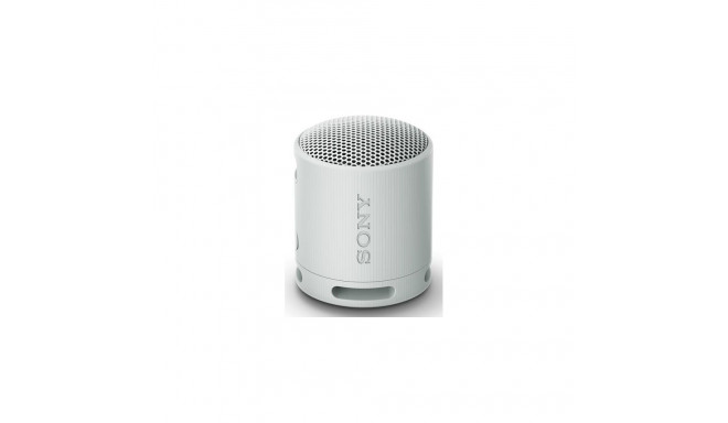 Sony SRS-XB100 - Wireless Bluetooth Portable Speaker, Durable IP67 Waterproof &amp; Dustproof, 1