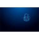 Kingston Technology IronKey 256GB Vault Privacy 50 AES-256 Encrypted, FIPS 197