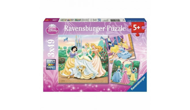 Pusle Ravensburger 17020