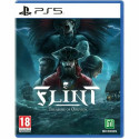 PlayStation 5 videomäng Microids Flint: Treasure Oblivion Limited Edition