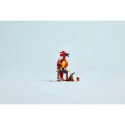 LEGO HARRY POTTER 76448 Fawkes: Dumbledore'i fööniks