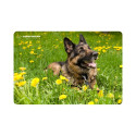 Mouse Pad - Esperanza Ea133 Multicolor