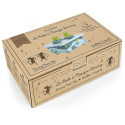 Trousselier Music Box Dancing Frogs