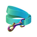 WAUDOG gradient nylon dog leash, 15mm wide, 122cm long, blue