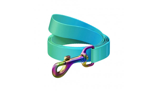 WAUDOG gradient nylon dog leash, 15mm wide, 122cm long, blue