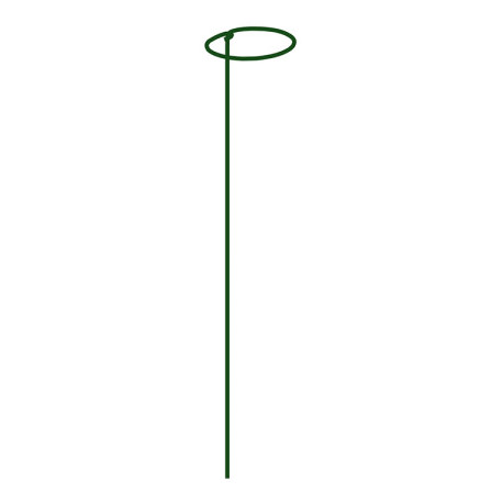 Bradas flower stand with one loop 7x60cm