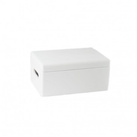 WOODEN BOXWITH LID 315001 WHITE