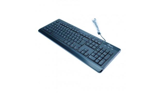 MediaRange MROS102 keyboard Universal USB QWERTZ German Black