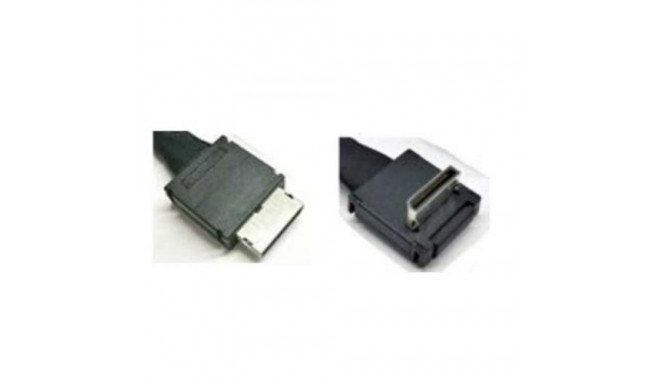 Intel OCuLink Cable Kit 0.45 m Black