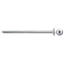 Fischer 561800 screw/bolt 100 pc(s)