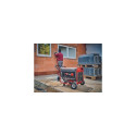 Einhell TC-PG 65/E5 engine-generator 25 L Petrol Black, Red
