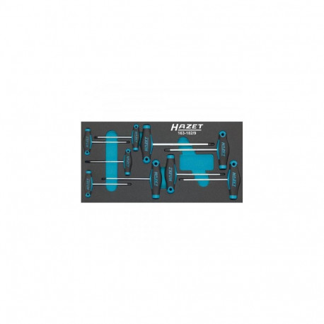 HAZET 163-182/9 manual screwdriver Set