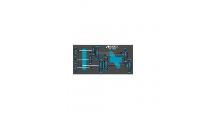HAZET 163-182/9 manual screwdriver Set