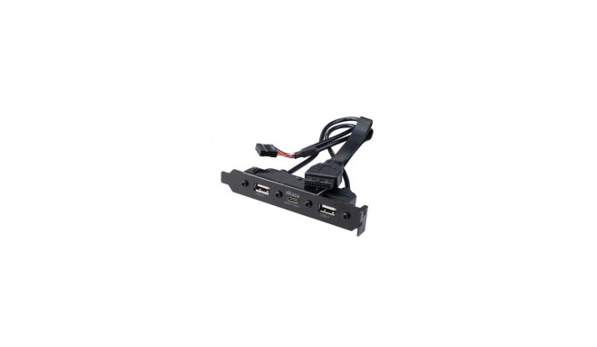 Akasa USB 3.1 Gen 1 internal adapter cable with dual USB 2.0 Type-A ports with full profile PCI brac