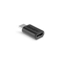 Lindy USB 3.2 Type C to C Adapter