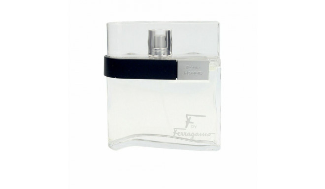 Meeste parfümeeria Salvatore Ferragamo 860384 EDT 100 ml