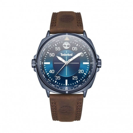 Men's Watch Timberland TDWGA2132001