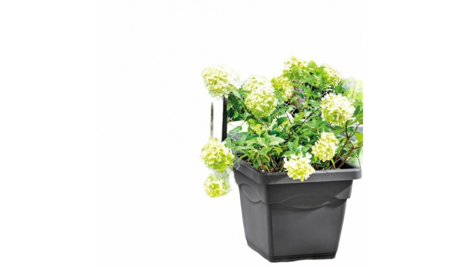 Plant pot Deroma Squared Anthracite Injected Ø 38 cm