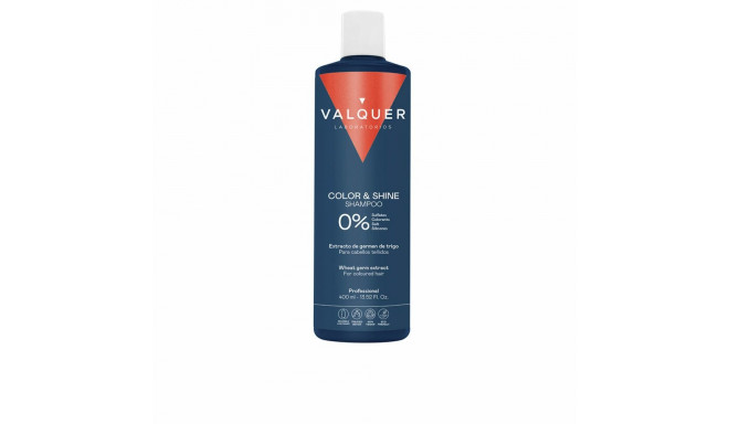 Juuksevärvi taastav šampoon Valquer CHAMPÚ PROFESIONAL 400 ml