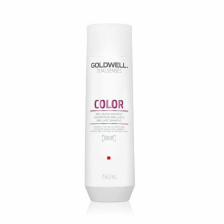 Šampoon Goldwell Color 250 ml