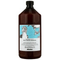 Niisutav šampoon Davines Well-Being 1 L