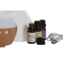 Eeterliku Õli Hajuti Home ESPRIT Linna 10 ml (4 Tükid, osad)
