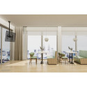 Lauatugi Ekraanile Neomounts CL35-440BL16L 70" 37" 50 kg