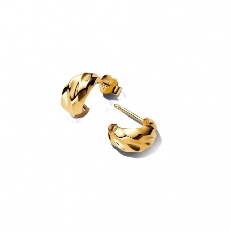 Ladies' Earrings Pandora 263873C00 Golden