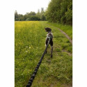 Dog Lead Black