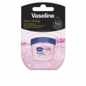 Huulte kaitse Vaseline CUIDADO LABIAL