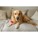 Dog toy Nylabone Pink Bacon L