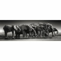Puzzle Clementoni